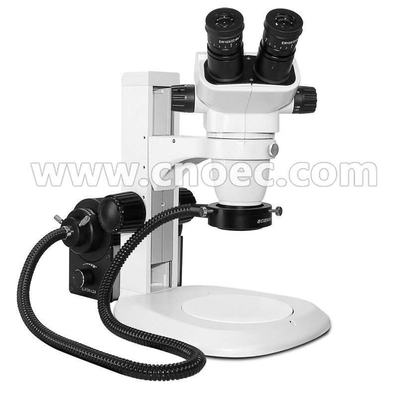 Parallelle Stereo Optische Microscoop Stereoscopische Microscopen Voor